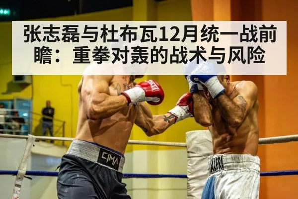 张志磊与杜布瓦12月统一战前瞻:重拳对轰的战术与风险